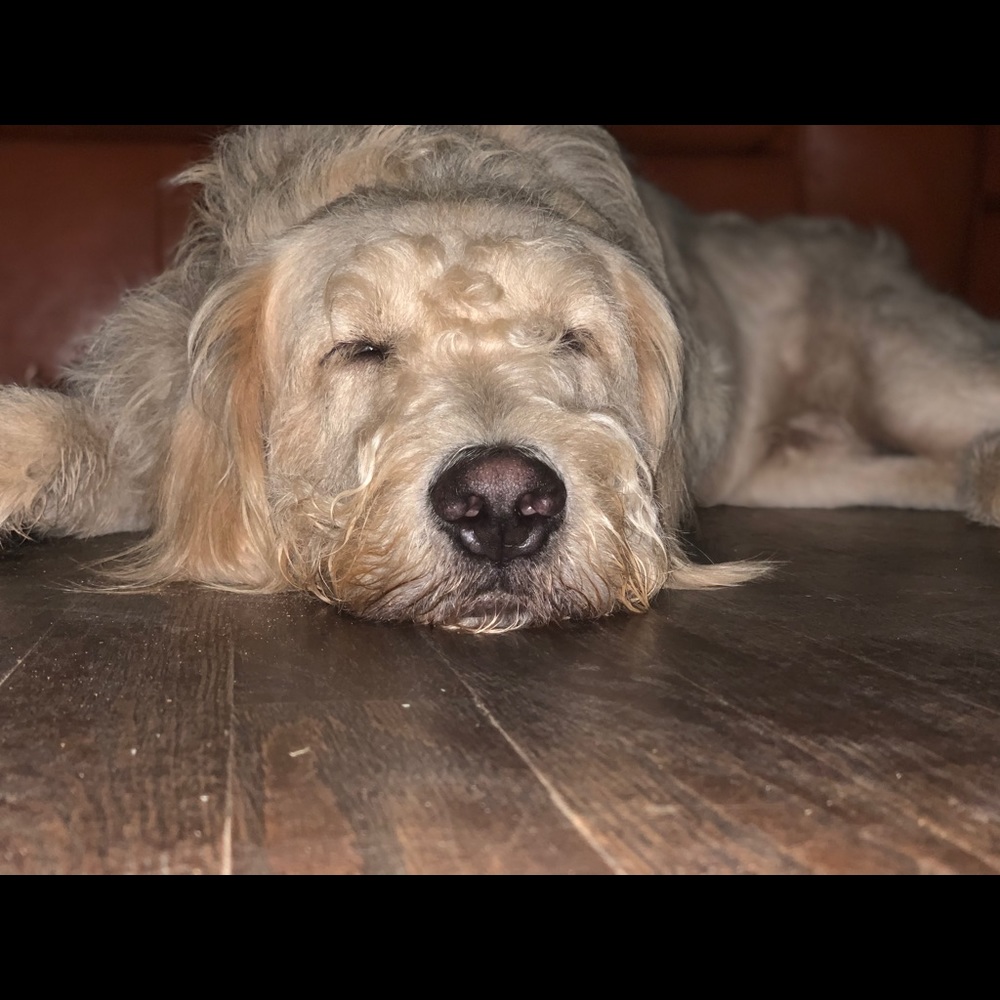 Meet your Posher, Mike